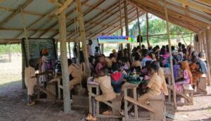 Galeya (Kindia) : des enfants étudient sous des hangars de fortune